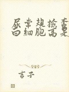 尿常规检查镜检白细胞高是什么原因