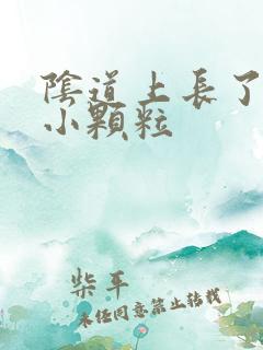 阴道上长了好多小颗粒