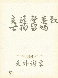 交通肇事致人死亡拘留吗