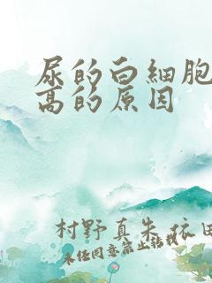 尿的白细胞计数高的原因