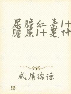 尿胆红素1+尿胆原1+是什么意思