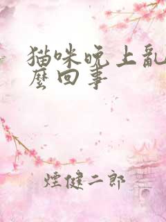 猫咪晚上乱尿怎么回事