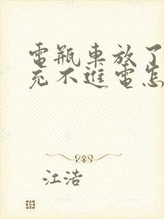 电瓶车放了几天充不进电怎么回事