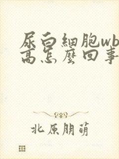 尿白细胞wbc高怎么回事