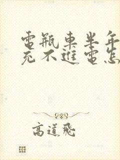 电瓶车半年没骑充不进电怎么办