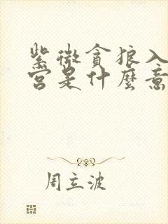 紫微贪狼入夫妻宫是什么意思