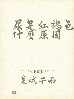 尿是红褐色的是什么原因