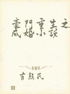 豪门重生之暖爱成婚小说
