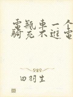 电瓶车一个月不骑充不进电怎么办