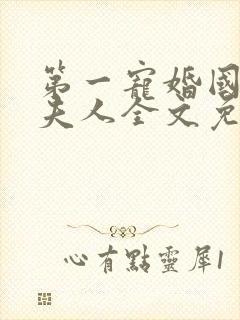 第一宠婚国民少夫人全文免费阅读