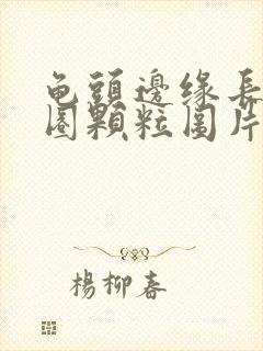 龟头边缘长了一圈颗粒图片