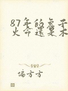 87年的兔子是火命还是木命