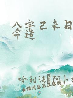 八字己未日富贵命造