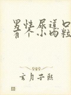 男性尿道口下方有个小肉粒