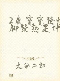 2岁宝宝发烧手脚发热是什么原因