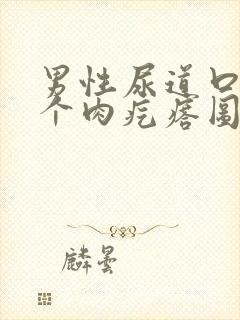 男性尿道口长了个肉疙瘩图