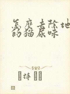 怎么去除地板上的猫尿味