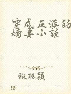 穿成反派的病弱娇妻小说