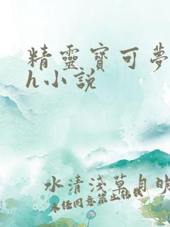 精灵宝可梦同人h小说