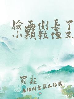 脸两侧长了好多小颗粒但又不像痘痘