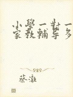 小学一对一上门家教辅导多少钱