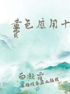 黄色应用十大免费