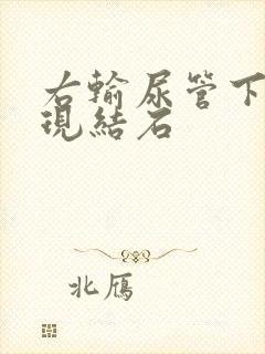 右输尿管下段出现结石