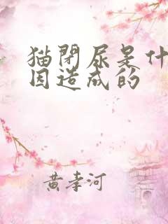 猫闭尿是什么原因造成的