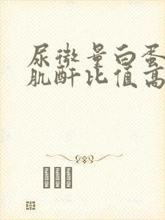 尿微量白蛋白尿肌酐比值高