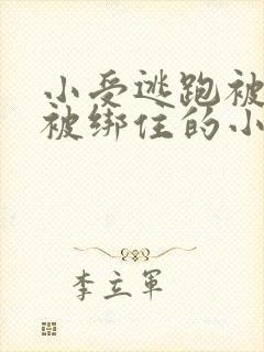 小受逃跑被囚禁被绑住的小说