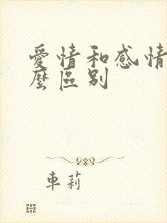 爱情和感情有什么区别