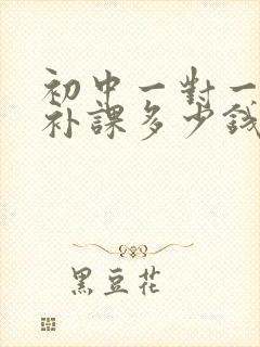 初中一对一数学补课多少钱