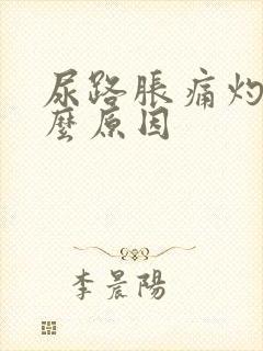 尿路胀痛灼热什么原因