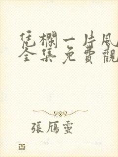 凭栏一片风云起全集免费观看