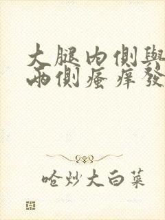 大腿内侧与阴囊两侧瘙痒发黑