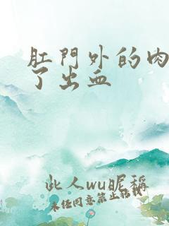 肛门外的肉球破了出血