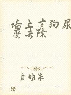 墙上有狗尿味怎么去除