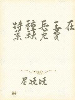 特种兵王在山村叶秋免费