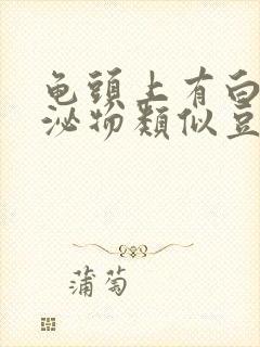 龟头上有白色分泌物类似豆腐渣