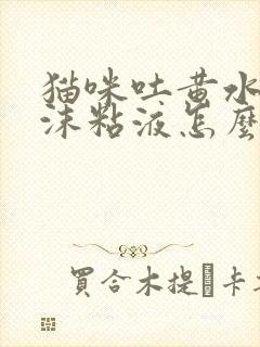 猫咪吐黄水有泡沫粘液怎么办