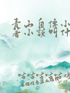 青山自传小说原著小说叫什么名字