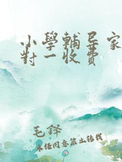 小学辅导家教一对一收费