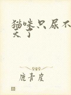 猫咪只尿不拉2天了