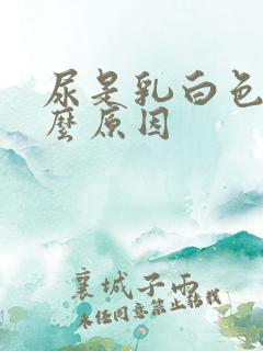 尿是乳白色是什么原因