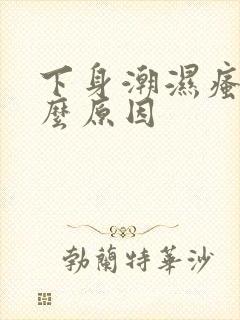 下身潮湿瘙痒什么原因