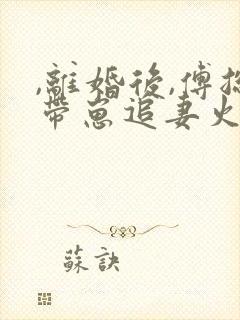 ,离婚后,傅总带崽追妻火葬场