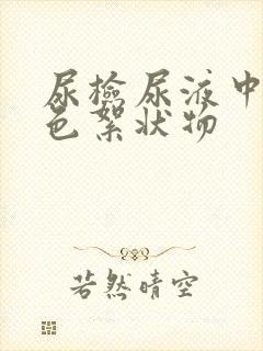 尿检尿液中有白色絮状物