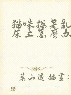 猫咪总是乱尿在床上怎么办