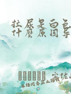 拉尿是白色的是什么原因导致的