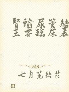 肾输尿管结石的主要临床表现是